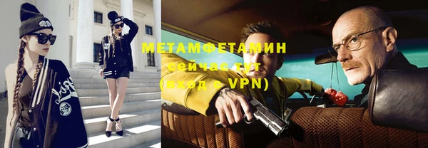индика Богородск