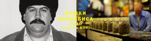 индика Богородск