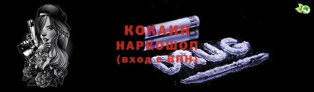 индика Богородск