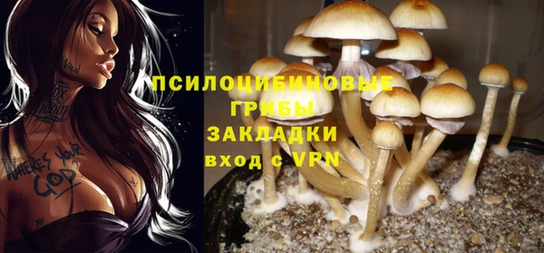 ГАЛЛЮЦИНОГЕННЫЕ ГРИБЫ Богданович