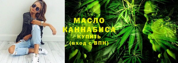 индика Богородск