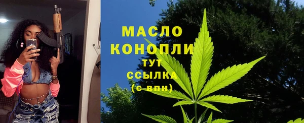 индика Богородск