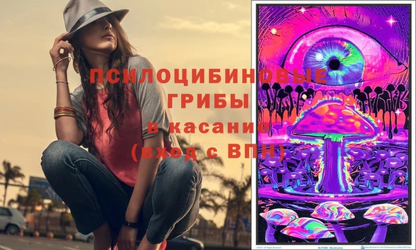ГАЛЛЮЦИНОГЕННЫЕ ГРИБЫ Богданович