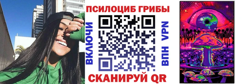 OMG tor  Верхняя Тура  shop Telegram  Псилоцибиновые грибы мицелий 